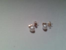 Clous d'oreilles AU750 et perle